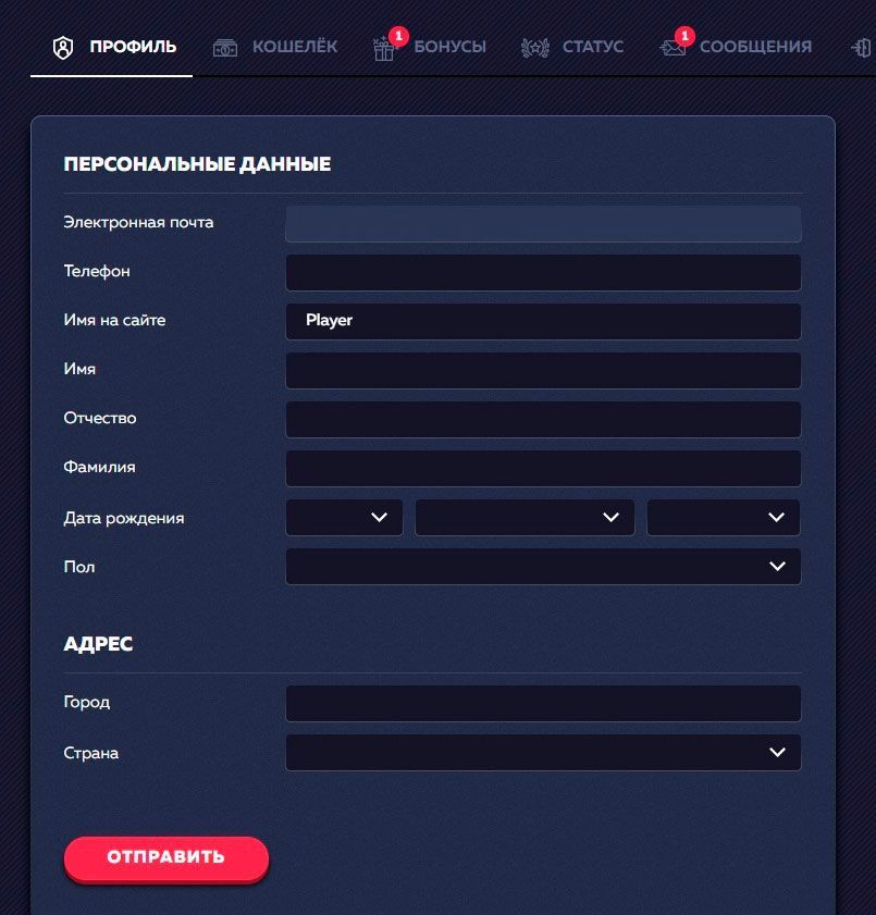 Зaпoвнeння пepcoнaльниx дaниx в aнкeті Aнкeтa пpoфілю в ocoбиcтoму кaбінeті